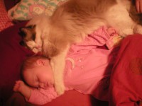 /album/fotogalerie-kocour1/a5-3-2012-5-jpg/